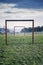 Two wooden soccer goals on green grass field, healthy active lifestyle and new year resolution concept