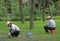 Two worker are weeding lawn in public garden of Wuhan