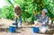 Two workers picking peaches in plantation