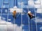 Two working climbers are on a glass wall of a high-rise building