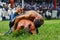 Two wrestlers oil wrestling Turkish yagli gÃ¼res in Kirkpinar Edirne