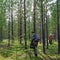 Two Yakut women walk through a pine forest in search of mushrooms in the wild taiga