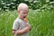 A two-year-old blonde boy eats a lollipop in a summer meadow