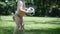 A two-year-old boy likes to play football in the park, run and kick the ball.