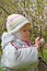 The two-year-old girl considers flowers of the Chinese cherry in a spring garden