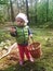 Two years old girl finding mushrooms in a forest