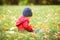 Two years old toddler have fun outdoor in autumn park