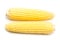 Two yellow corns