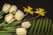 Two yellow daffodils with white tulips on a large green fern leaf lie on a black background