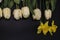 Two yellow daffodils, white tulips with large leaves lie on top of a black background.