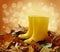 Two yellow gumboots standing in fallen leaves