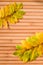 Two yellow leaves of mountain ash on brown wooden surface. Minimalistic autumn background for seasonal layouts with space for text