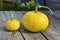 Two yellow pumpkins big and small on a tree background