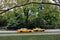 Two yellow taxi cabs rush trough Central Park in New York City