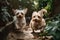Two Yorkshire Terrier puppies playing in the garden on a sunny day, Two cute small dogs playing and running in a green garden, AI