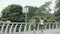 two young asian women walking relaxing talking while exercising outdoors in park