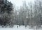 Two young beautiful girls go skiing in winter on a ski slope