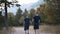 Two young brothers dressed in dark clothes, walk in the pine park at sunset