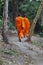 Two young Buddhist monks