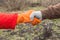 Two young farmers shake hands on the background of the soil in the spring, the farmer`s agreement. The concept of teamwork in