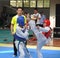 Two young fighters--The seventh GoldenTeam Cup Taekwondo friendly competition