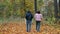 Two young girls walking on fallen yellow leaves in the park rear view.
