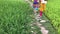 Two young girls walking in the field