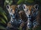 two young leopard brothers coming out of the den