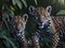 two young leopard brothers walking together in the forest