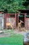 Two young live deer stand near the cage at the zoo in summer