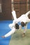 Two young males practicing judo together.