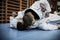 Two young males practicing judo together.