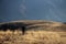 Two young men  hiking over meadow in late afternoon