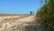 Two young tourists are walking along a sandy beach overgrown with reeds.