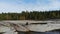 Two young traveler men sit on a stone in a lake. beyond them is the forest. Northern sandy beach. Russia, Karelia, lake Ladoga, Ko