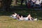 Two young women laying on the the grass in a park in summer using their mobile phones or cell