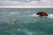 Two young women surfers laying down on their surfboards swimming in the ocean. Biarritz, France