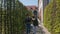 Two young women walking among the planted decorative trees