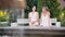 Two young women in white stylish dresses chatting in park sitting on bench.