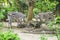 Two young zebra eating food