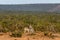 Two zebras cuddling in the open spaces of Addo Elephant Park