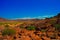 Twyfelfontein archaeological site in Namibia