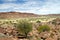 Twyfelfontein in Namibia, Africa