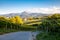 Txakoli vineyard in Hondarribia in the Basque country with the mountains at the background