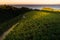 Txakoli white wine vineyards with the Cantabrian sea in the background, Getaria, Spain