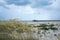 Tybee Island Beach near Savannah, Georgia.