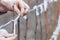 Tying raspberry bushes in early spring. Garden work. Worker`s hands close up.