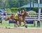 Tyler Gafflione winning again at Saratoga