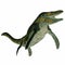 Tylosaurus Marine Reptile on White