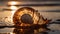 Tyndall effect light rays through the large Nautilus shell, laying on the beach in the waves of the ocean, golden hour, bokeh